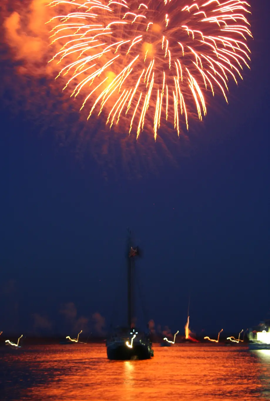 July 4th | Pre-Fireworks Guaranteed Dolphins