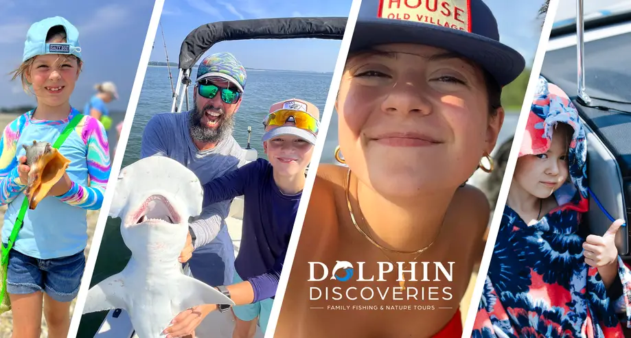 Private / Dolphins, Sharks & Shells!