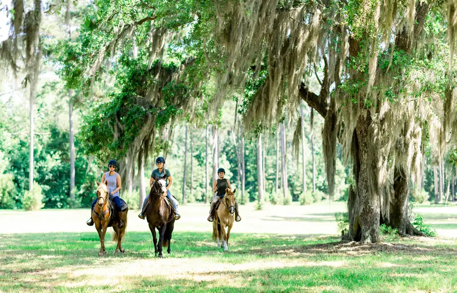 Trail Rides Experience - Palmetto Bluff Members
