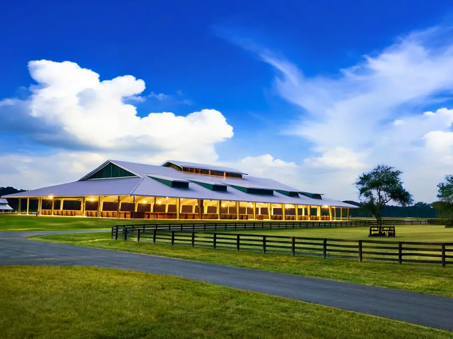 Equestrian Lessons - Montage Guests