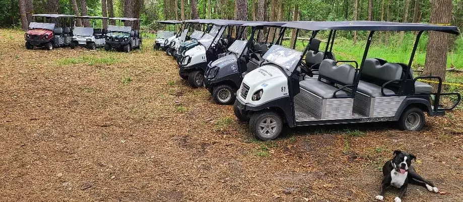 6-Seater Golf Cart Rentals