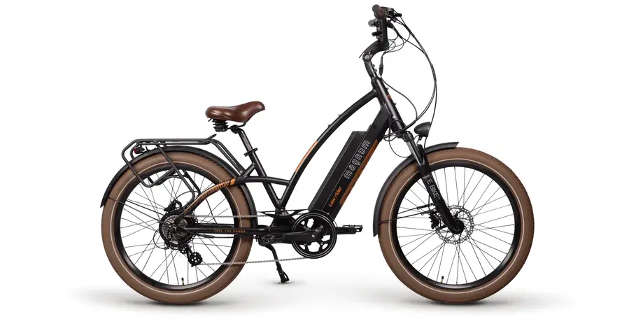 Twelve Day Electric Bike Rental