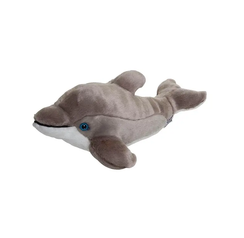 Ultimate Dolphin Experience