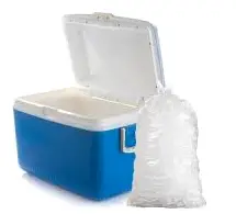 Cooler and Ice