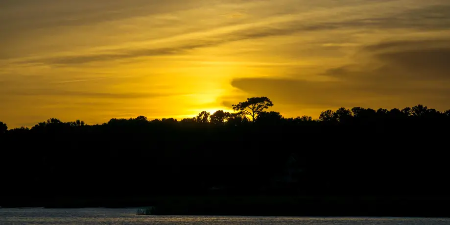 Upper Wando River Kayak Tour